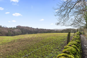 Photo 34- click for photo gallery